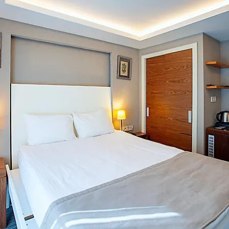 Aston Taksim Hotell 4*